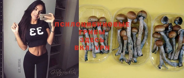 не бодяженный Кадников