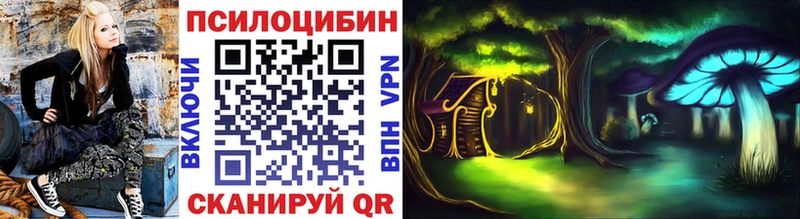 Купить закладки  Нолинск  Галлюциногенные грибы Psilocybine cubensis 